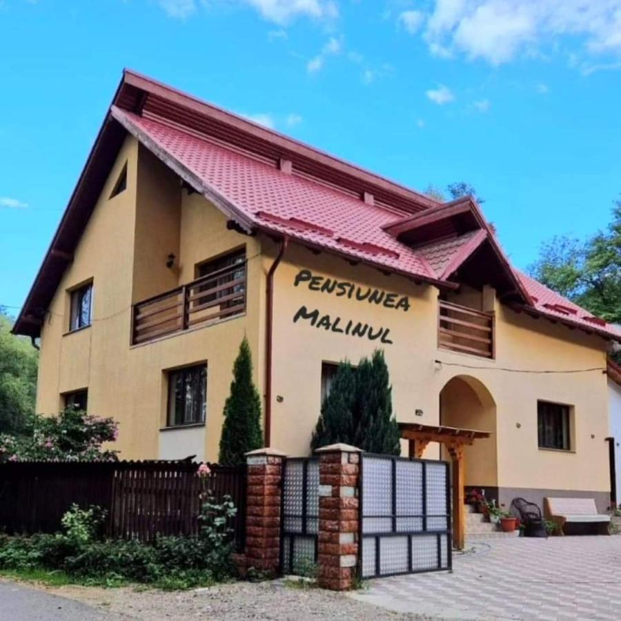 Pensiunea Malinul Bîrsana Exterior photo