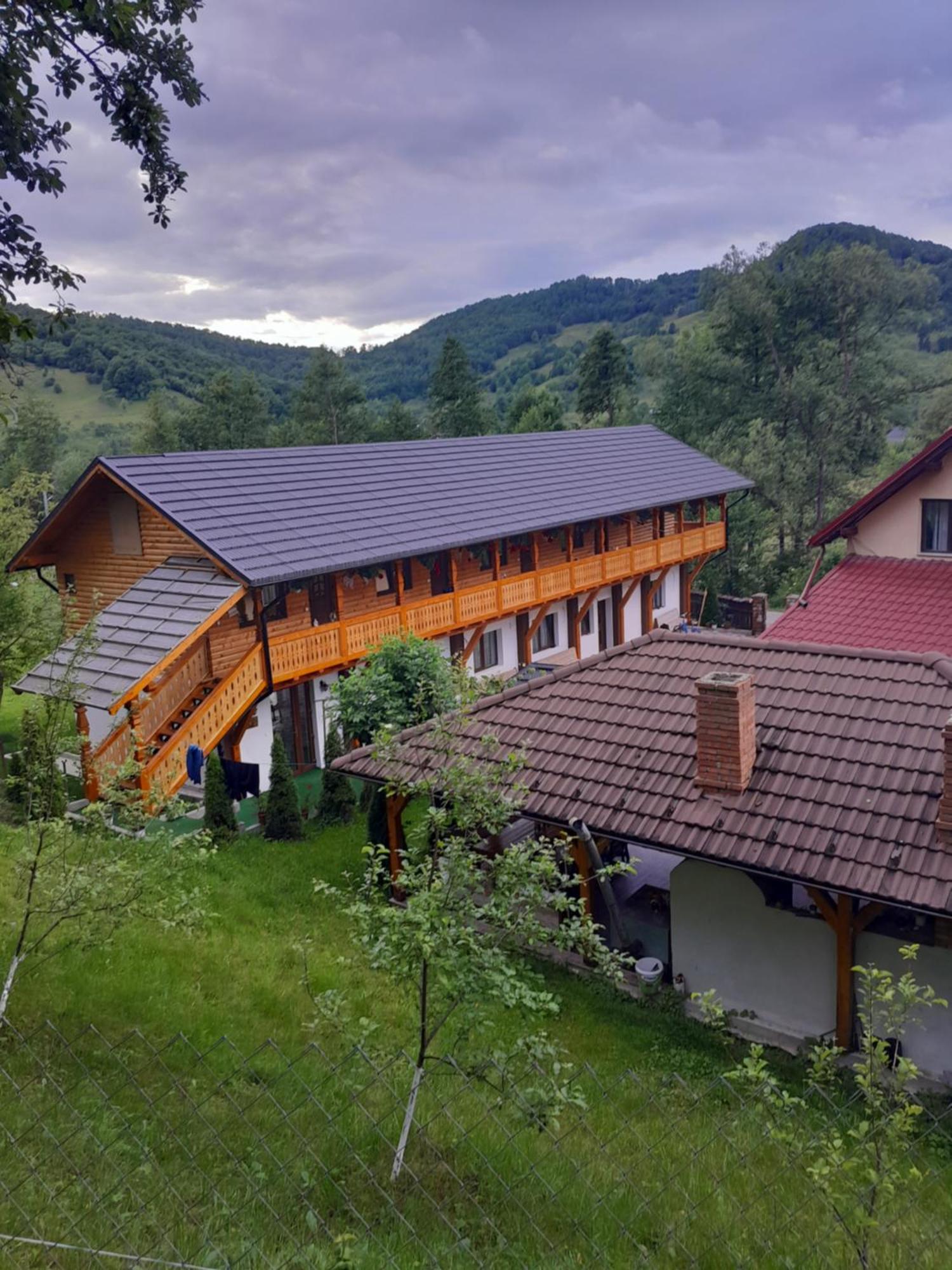 Pensiunea Malinul Bîrsana Exterior photo
